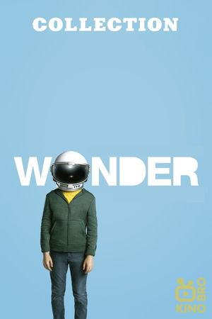 Wonder Collection poster