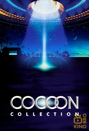 Cocoon Collection poster