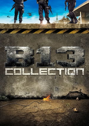 District 13 Collection poster