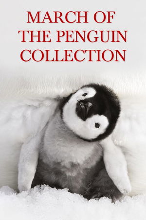 March of the Penguins Collection poster