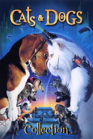 Cats & Dogs Collection poster