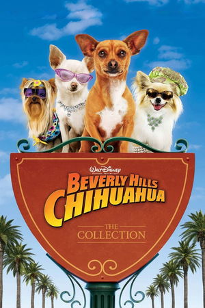 Beverly Hills Chihuahua Collection poster