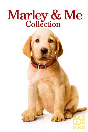 Marley & Me Collection poster