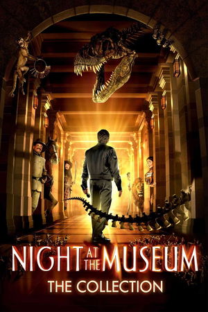 Night at the Museum Collection poster