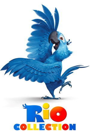 Rio Collection poster