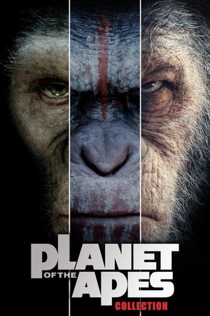 Planet of the Apes (Reboot) Collection poster