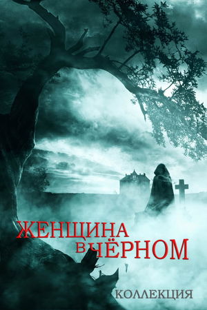 Женщина в черном (Коллекция) poster