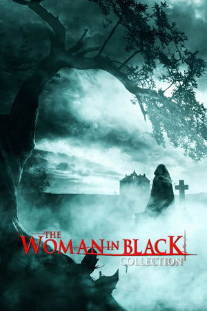 The Woman in Black Collection poster