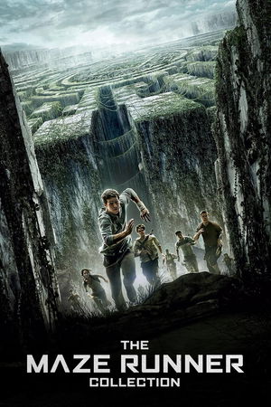 The Maze Runner Collection poster