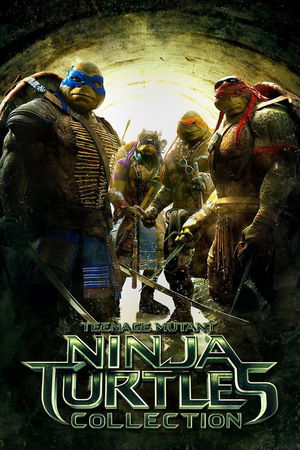 Teenage Mutant Ninja Turtles (Remake) Collection poster