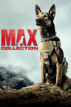 Max Collection poster