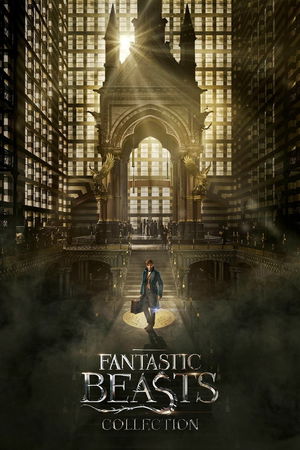 Fantastic Beasts Collection poster