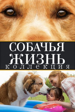 Собачья жизнь (Коллекция) poster