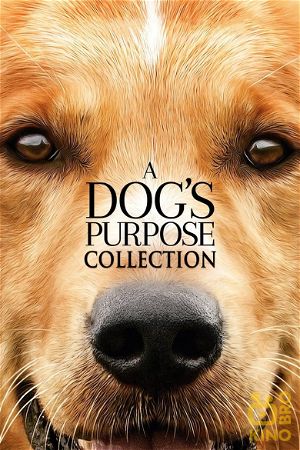A Dog's Purpose Collection poster