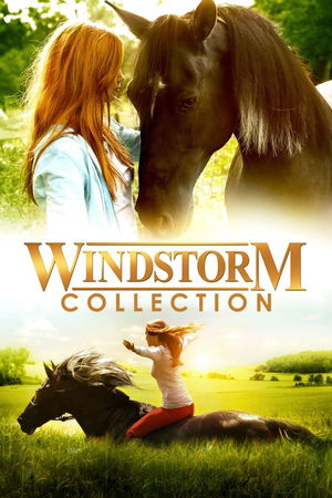 Windstorm Collection poster