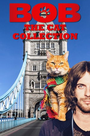 Bob The Cat Collection poster