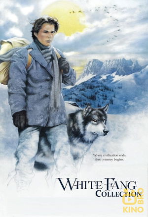 White Fang Collection poster