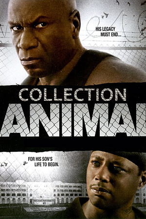 Animal Collection poster