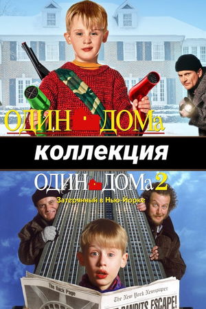 Один дома (Коллекция) poster