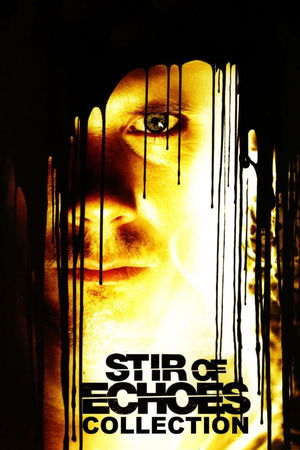 Stir of Echoes Collection poster