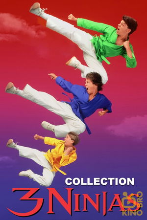 3 Ninja Kids Collection poster