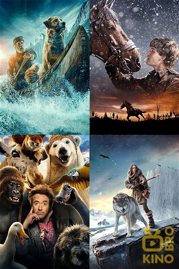 Животные poster