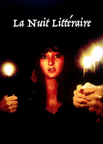 Poster for the movie «La nuit littéraire»