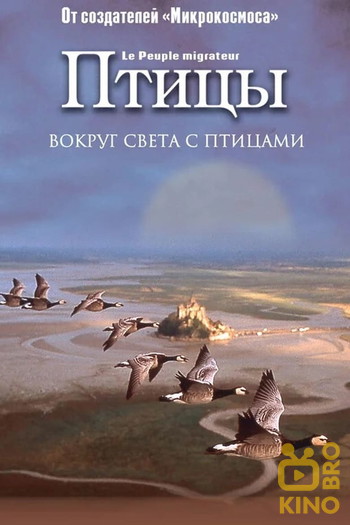 Постер к фильму «Птицы»