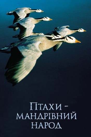 Постер до фільму «Птахи – мандрівний народ»