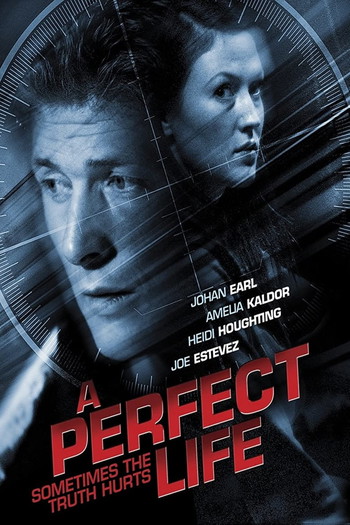 Poster for the movie «A Perfect Life»