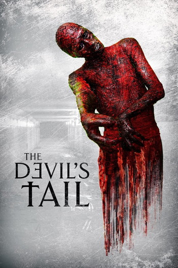 Poster for the movie «The Devil's Tail»