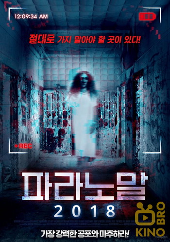 Постер к фильму «Paranormal Asylum: The Revenge of Typhoid Mary»