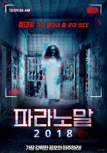 Poster for the movie «Paranormal Asylum: The Revenge of Typhoid Mary»