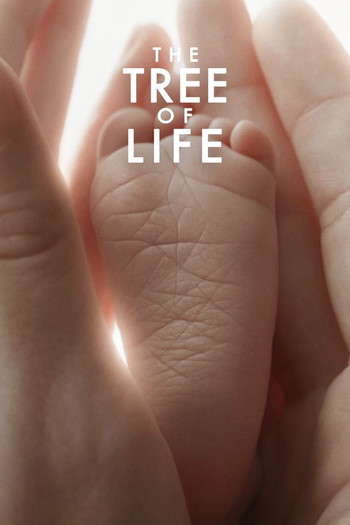 Poster for the movie «The Tree of Life»