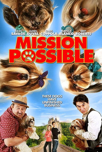 Poster for the movie «Mission Possible»