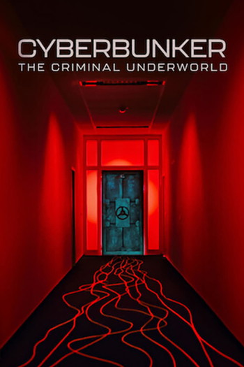 Poster for the movie «Cyberbunker: The Criminal Underworld»