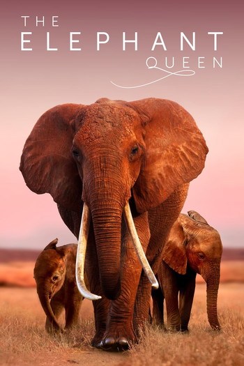 Poster for the movie «The Elephant Queen»