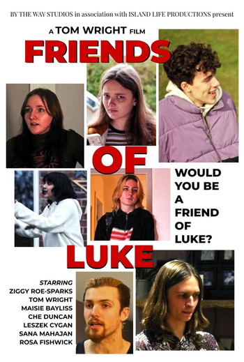 Poster for the movie «Friends of Luke»