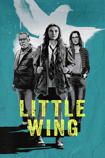 Poster for the movie «Little Wing»