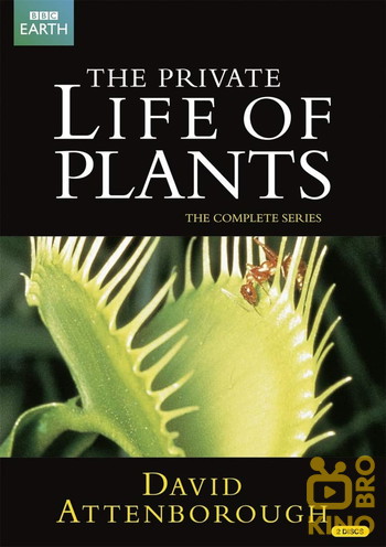 Постер к фильму «The Private Life of Plants»