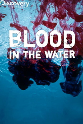 Poster for the movie «Blood in the Water»