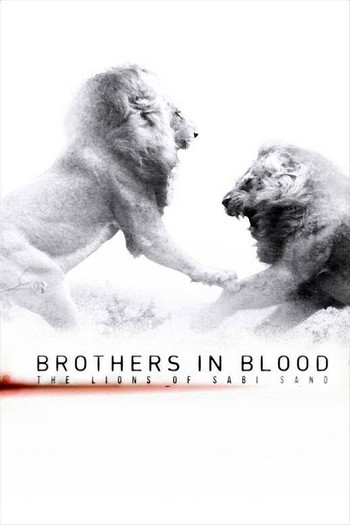 Poster for the movie «Brothers in Blood: The Lions of Sabi Sand»