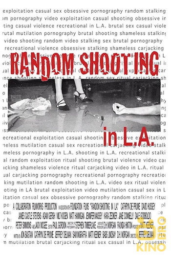 Poster for the movie «Random Shooting in LA»