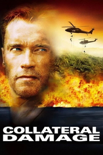 Poster for the movie «Collateral Damage»