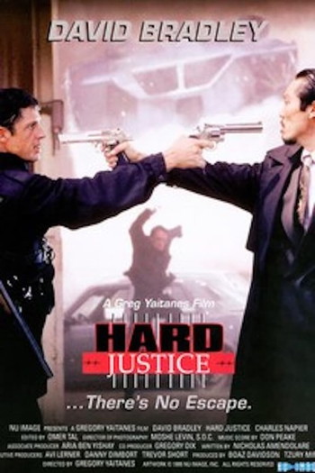 Poster for the movie «Hard Justice»