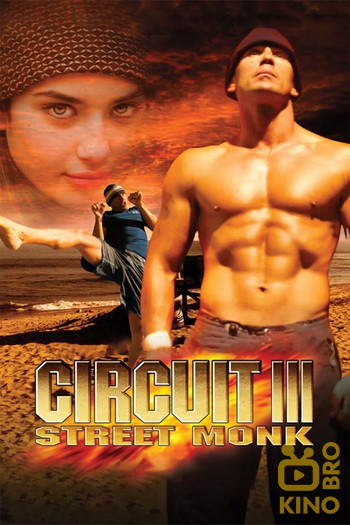 Постер к фильму «The Circuit III: Final Flight»