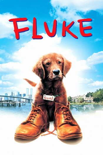 Poster for the movie «Fluke»