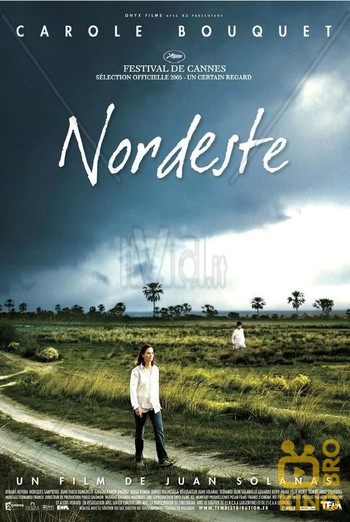 Poster for the movie «Northeast»