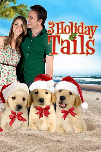 Poster for the movie «3 Holiday Tails»