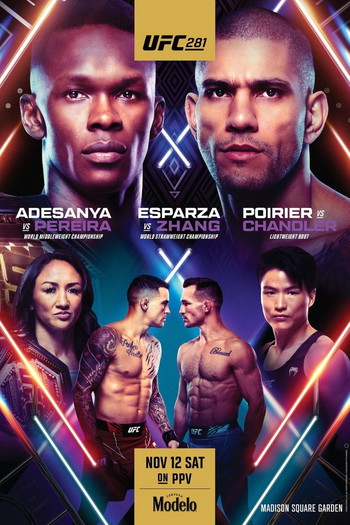 Poster for the movie «UFC 281: Adesanya vs. Pereira»